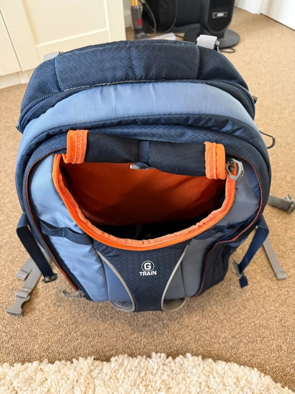 Kurgo G-train dog carrier backpack